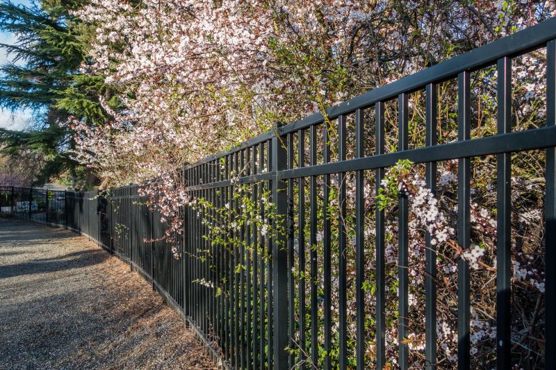 Black Metal Fence Installation in St Louis, MO