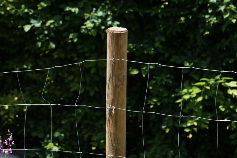 Board Fence Installation in South Houston, TX