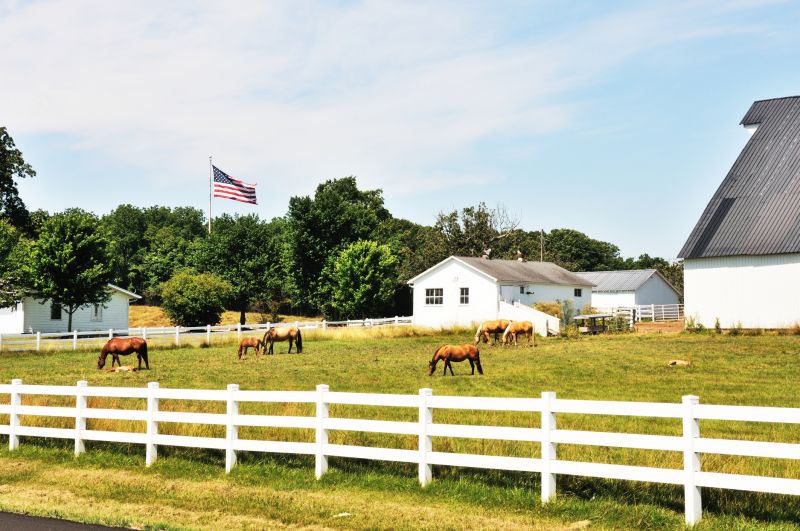 Equine Fence Installation in Sacramento, CA