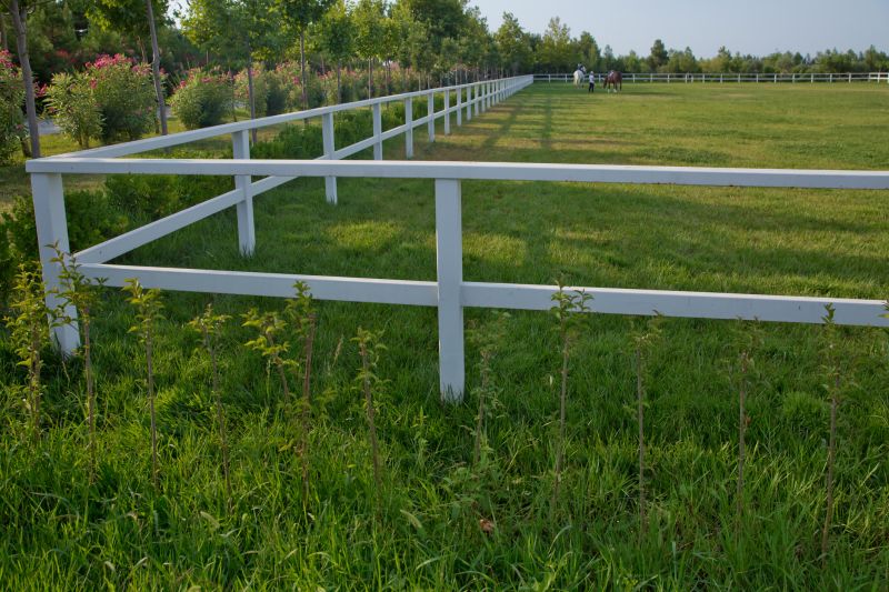 Equine Fence Installation in Pearland, TX