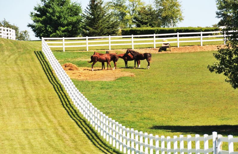 Horse Fence Replacement in Pearland, TX