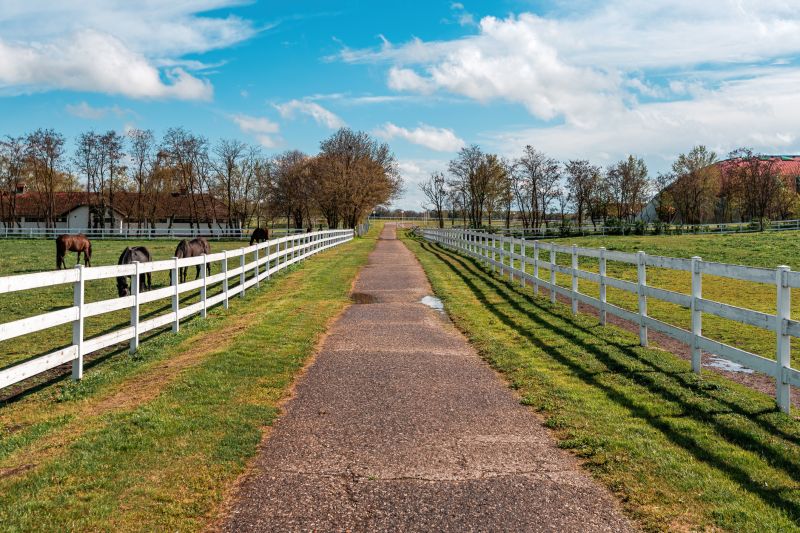 Horse Paddock Installation in Roseville, CA