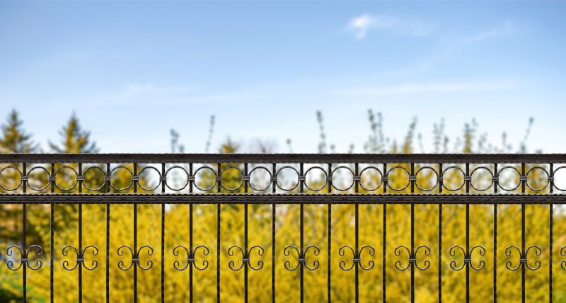 Iron Fence Installation in Alpharetta, GA