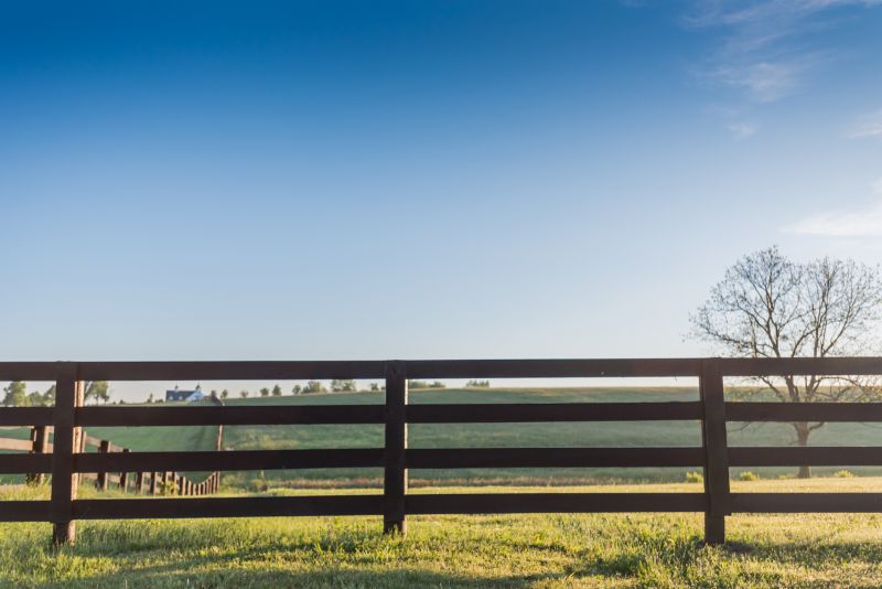 Rail Fence Construction in Pearland, TX