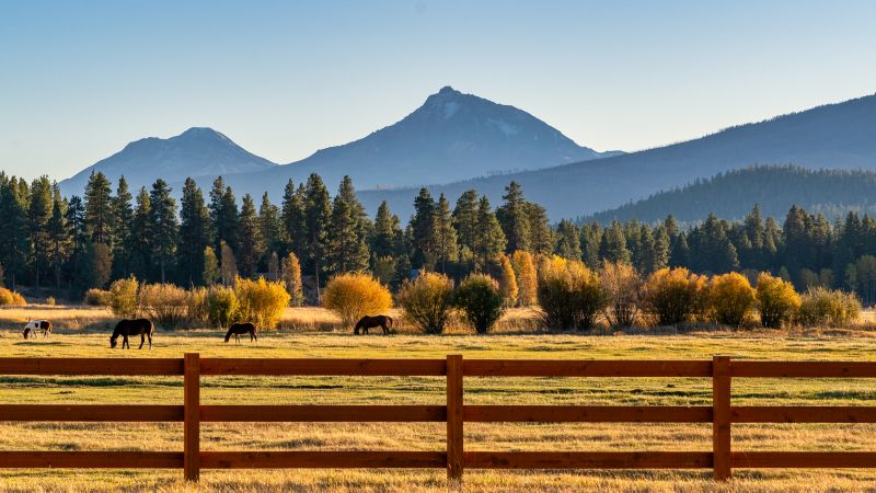 Ranch Fence Construction in Roseville, CA